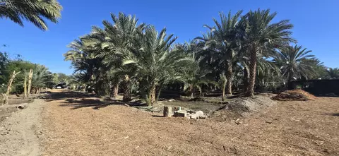 76850 Pierce St, Thermal, CA 92274 photo 65