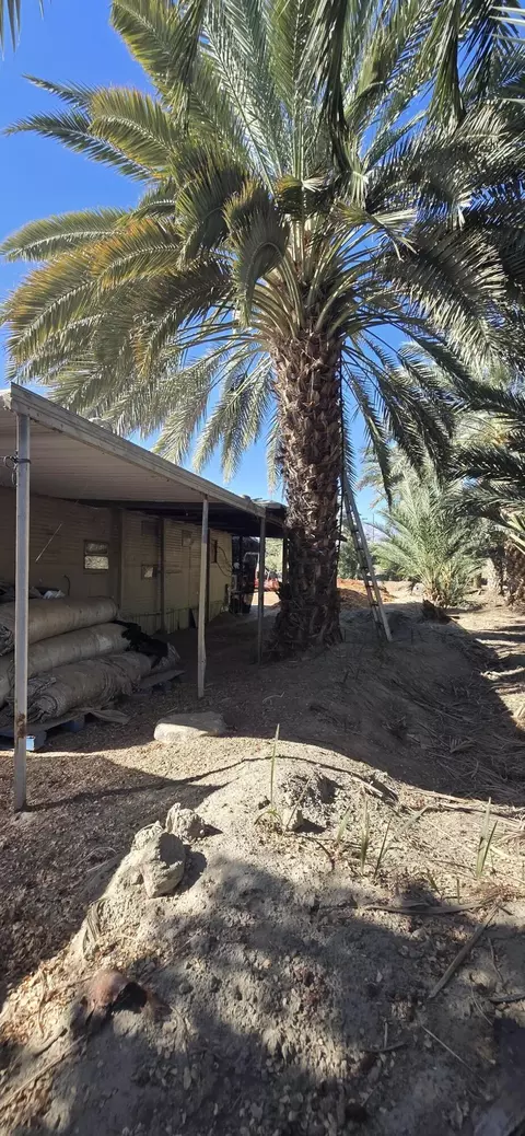 76850 Pierce St, Thermal, CA 92274 photo 56