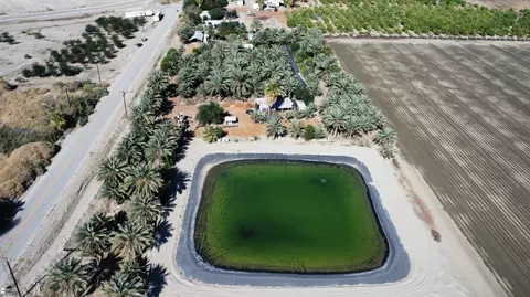 76850 Pierce St, Thermal, CA 92274 photo 8