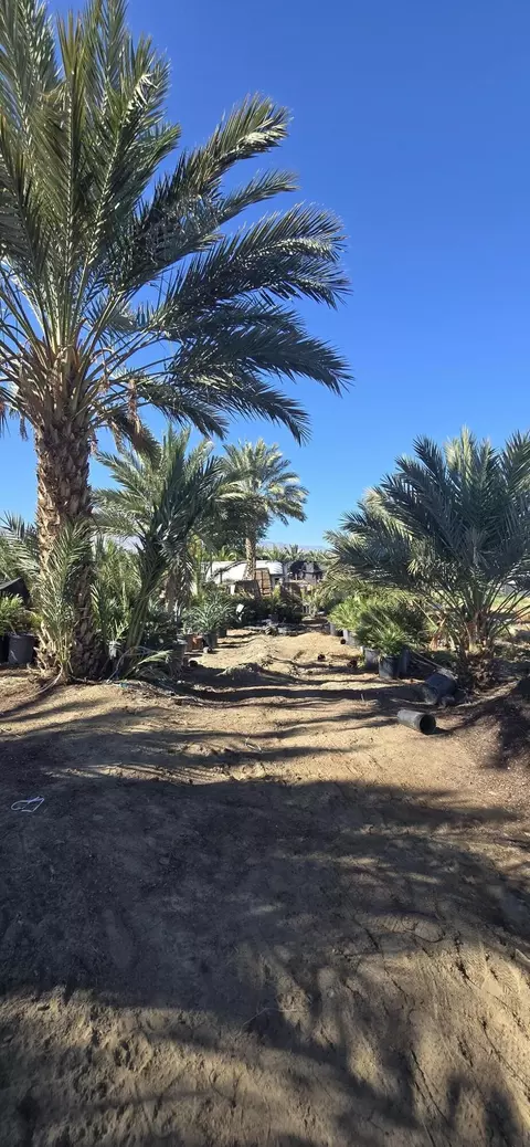 76850 Pierce St, Thermal, CA 92274 photo 48