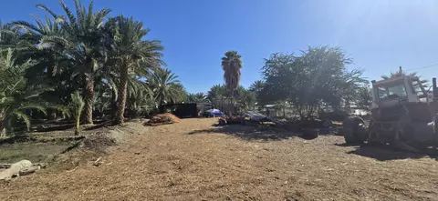 76850 Pierce St, Thermal, CA 92274 photo 66