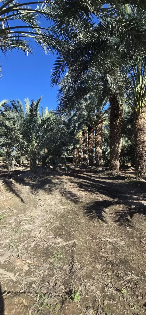 76850 Pierce St, Thermal, CA 92274 photo 60