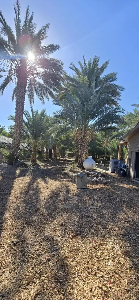 76850 Pierce St, Thermal, CA 92274 photo 38