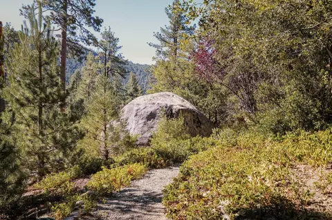 Exterior - 55100 Pine Crest Dr, Idyllwild, CA 92549 photo 16 of 17