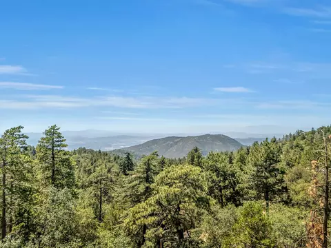 View/Area - 24701 Schaffer Dr, Idyllwild, CA 92549 photo 1 of 1