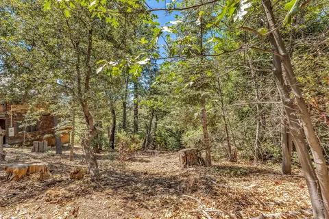 Exterior - 24701 Schaffer Dr, Idyllwild, CA 92549 photo 8 of 14