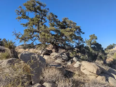 lot84 Mountain Park Rd, Mountain Center, CA 92561