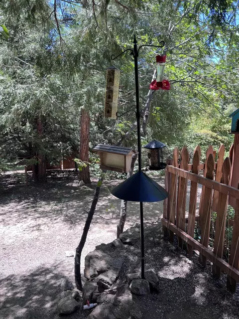 25835 Wayne Rd, Idyllwild, CA 92549 photo 38