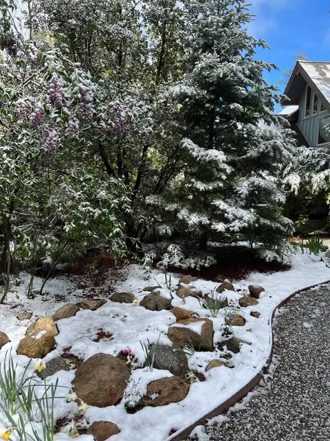 25835 Wayne Rd, Idyllwild, CA 92549 photo 53