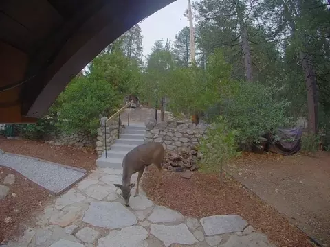 25835 Wayne Rd, Idyllwild, CA 92549 photo 51