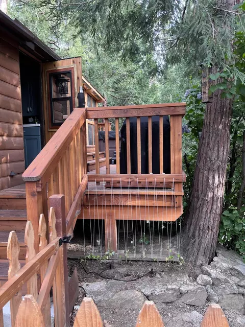 25835 Wayne Rd, Idyllwild, CA 92549 photo 43