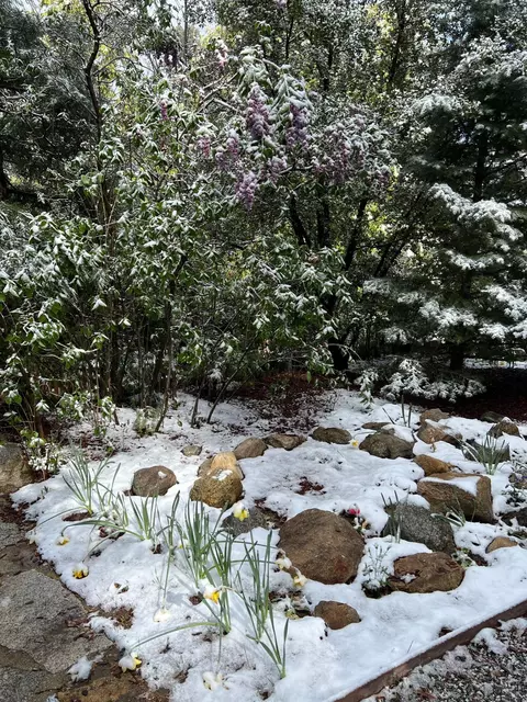 25835 Wayne Rd, Idyllwild, CA 92549 photo 52