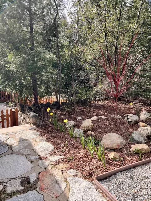 25835 Wayne Rd, Idyllwild, CA 92549 photo 32