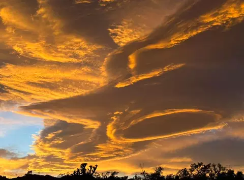 Other - 57530 Warren Way, Yucca Valley, CA 92284 photo 9 of 9