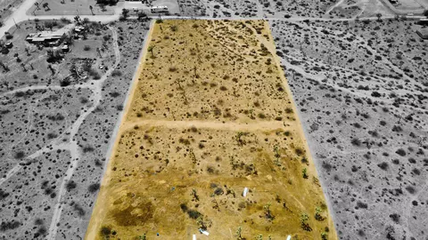 View/Area - 4224 Yucca Mesa Rd, Yucca Valley, CA 92284 photo 1 of 4