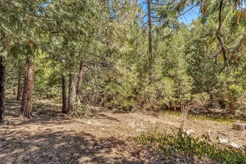 Exterior - 55175 Daryll Rd, Idyllwild, CA 92549 photo 8 of 10