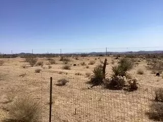 4541 Avenida La Mirada, Joshua Tree, CA 92252 photo 3