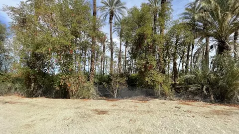 Other - 66820 Harrison St, Thermal, CA 92274 photo 2 of 7
