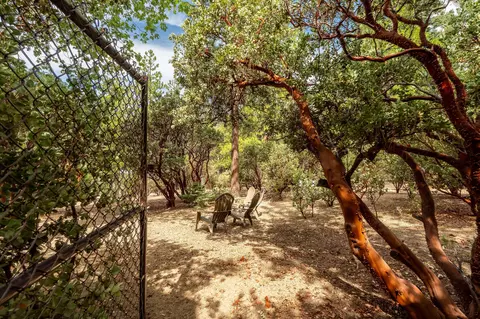 Exterior - 55370 Silver Tip Ln, Idyllwild, CA 92549 photo 24 of 29