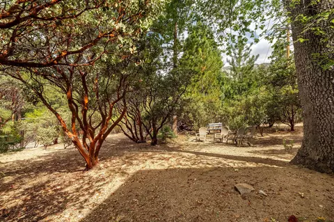 Exterior - 55370 Silver Tip Ln, Idyllwild, CA 92549 photo 25 of 29