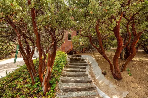 Exterior - 55370 Silver Tip Ln, Idyllwild, CA 92549 photo 4 of 29