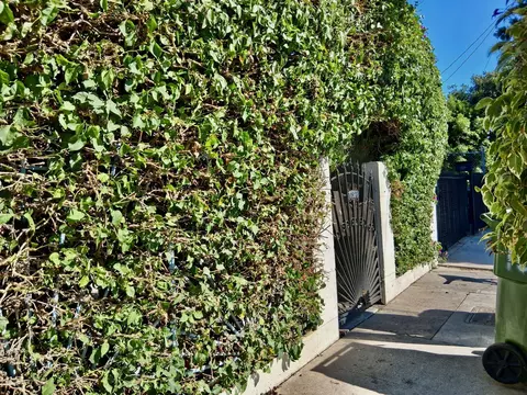 10328 Hickory St, Los Angeles, CA 90002