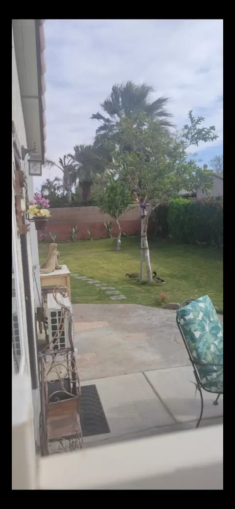 Exterior - 31478 Robert Rd, Thousand Palms, CA 92276 photo 8 of 24