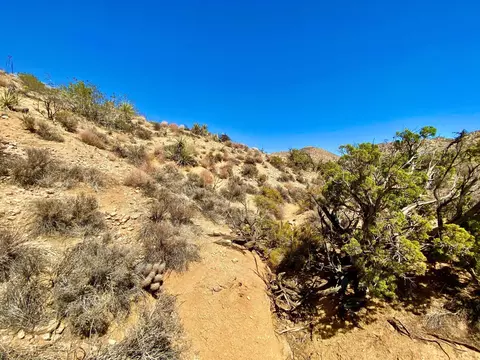120 Benmar Trl, Morongo Valley, CA 92256 photo 19