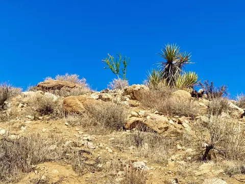 120 Benmar Trl, Morongo Valley, CA 92256 photo 17