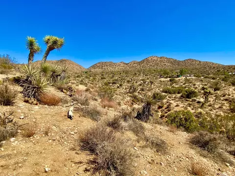 120 Benmar Trl, Morongo Valley, CA 92256 photo 33