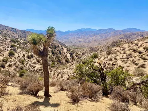 120 Benmar Trl, Morongo Valley, CA 92256 photo 32