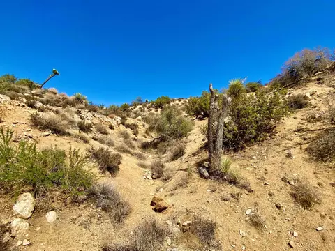 120 Benmar Trl, Morongo Valley, CA 92256 photo 23