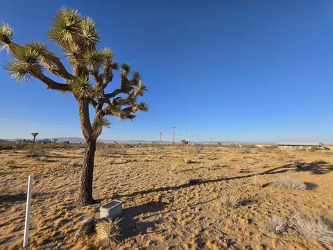 59871 Reche Rd, Landers, CA 92285 photo 4