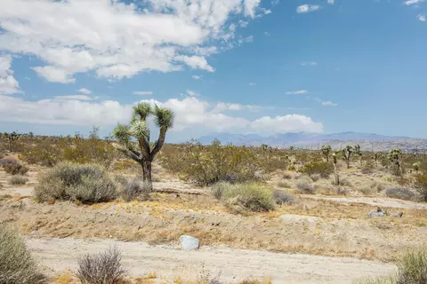 Other - 7382 Olympic Rd, Joshua Tree, CA 92252 photo 4 of 5