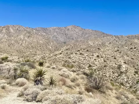 51170 Panorama Dr, Morongo Valley, CA 92256 photo 18