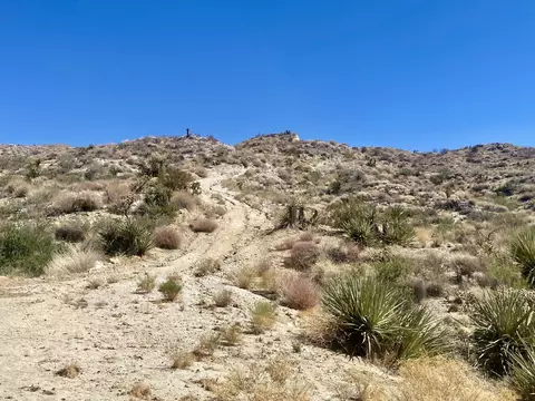51170 Panorama Dr, Morongo Valley, CA 92256 photo 5