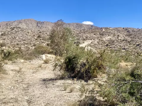 51170 Panorama Dr, Morongo Valley, CA 92256 photo 3