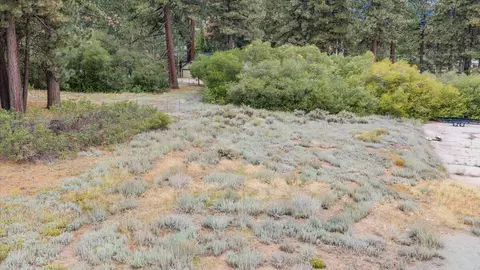 745 Stocker Rd, Big Bear Lake, CA 92315 photo 3