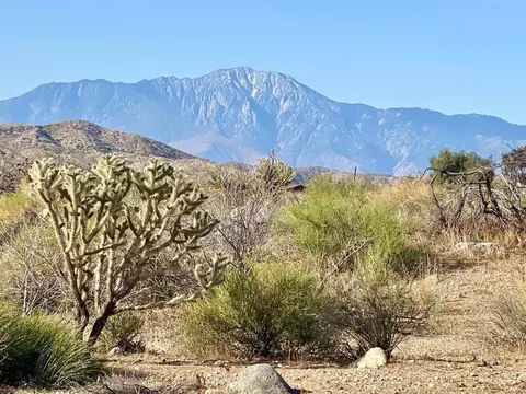 135 Bardell Rd, Morongo Valley, CA 92256 photo 7