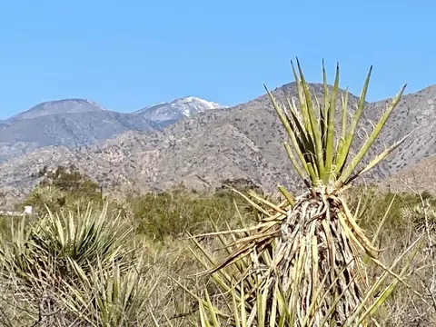 135 Bardell Rd, Morongo Valley, CA 92256 photo 23