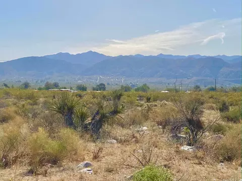 135 Bardell Rd, Morongo Valley, CA 92256 photo 20