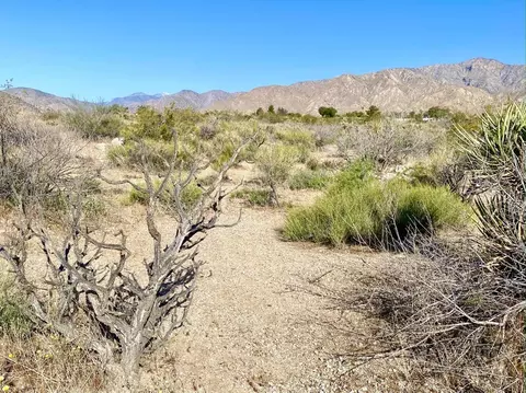 135 Bardell Rd, Morongo Valley, CA 92256 photo 3