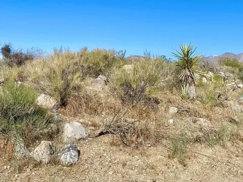 135 Bardell Rd, Morongo Valley, CA 92256 photo 12