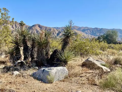 135 Bardell Rd, Morongo Valley, CA 92256 photo 14