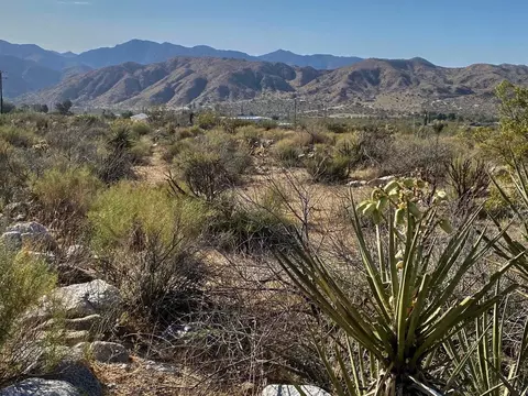 135 Bardell Rd, Morongo Valley, CA 92256 photo 13