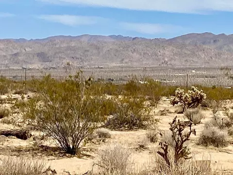 117 Border Rd, Joshua Tree, CA 92252 photo 6