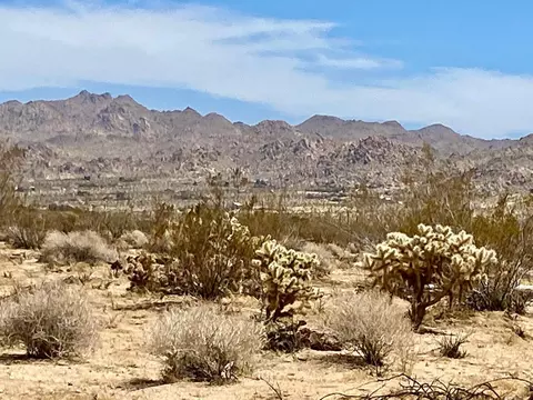 117 Border Rd, Joshua Tree, CA 92252 photo 8