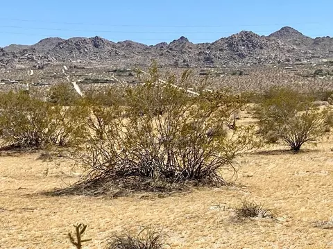 117 Border Rd, Joshua Tree, CA 92252 photo 9