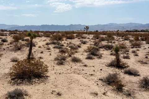 0 Celesta Rd, Joshua Tree, CA 92252 photo 26