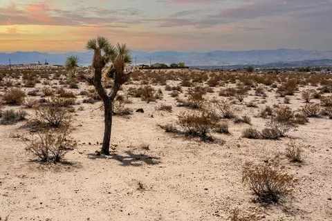 0 Celesta Rd, Joshua Tree, CA 92252 photo 6